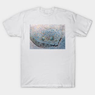 Flounder T-Shirt